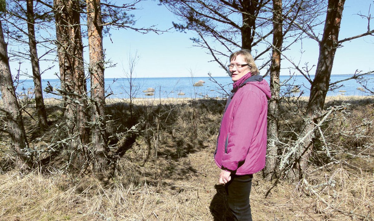Maire Riiberg oma metsa servas, oludes, kus maad kasutada tegelikult ei saa.