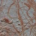 Jupiteri kuu Europa ookeanis võib leiduda elu
