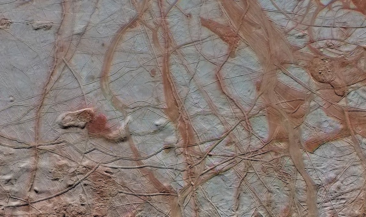 Europa pragulise jääkihi all usutakse asuvat soolase veega ookean. (Foto: NASA, vabakasutuseks)