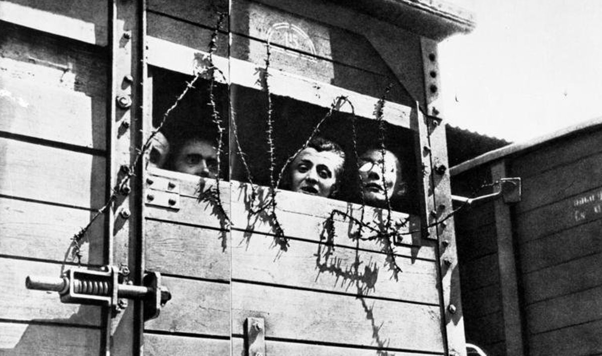 Koonduslaager natsivägede poolt okupeeritud Poolas (Foto: Wikimedia Commons / Saksamaa riigiarhiiv)