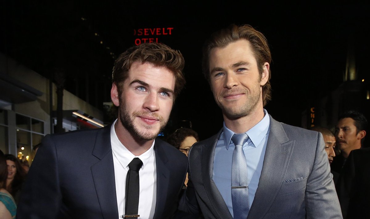 Cast member Hemsworth poses with his brother at the premiere of "Thor: The Dark World" in Hollywood