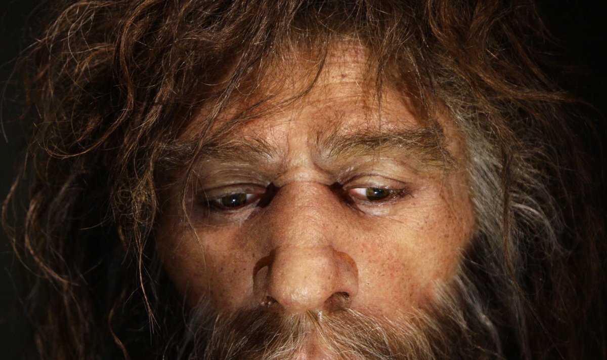 Hüperrealistlik neandertallase rekonstruktsioon.