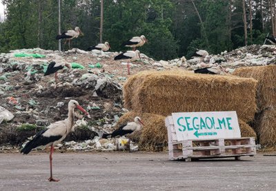 Toonekurgedele on jäätmejaam nagu Rootsi laud. Foto Lääne-Viru jäätmejaamast