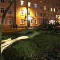 ФОТО и ВИДЕО: В Пыхья-Таллинне на трамвайные пути упало дерево