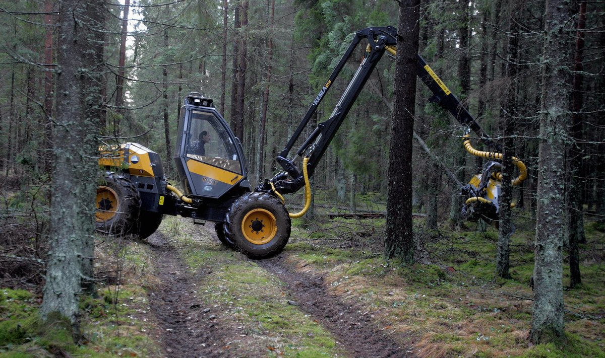 Toetatava tegevuse alla käib ka metsateede korrashoid ja korrastamine näiteks pärast raietöid.