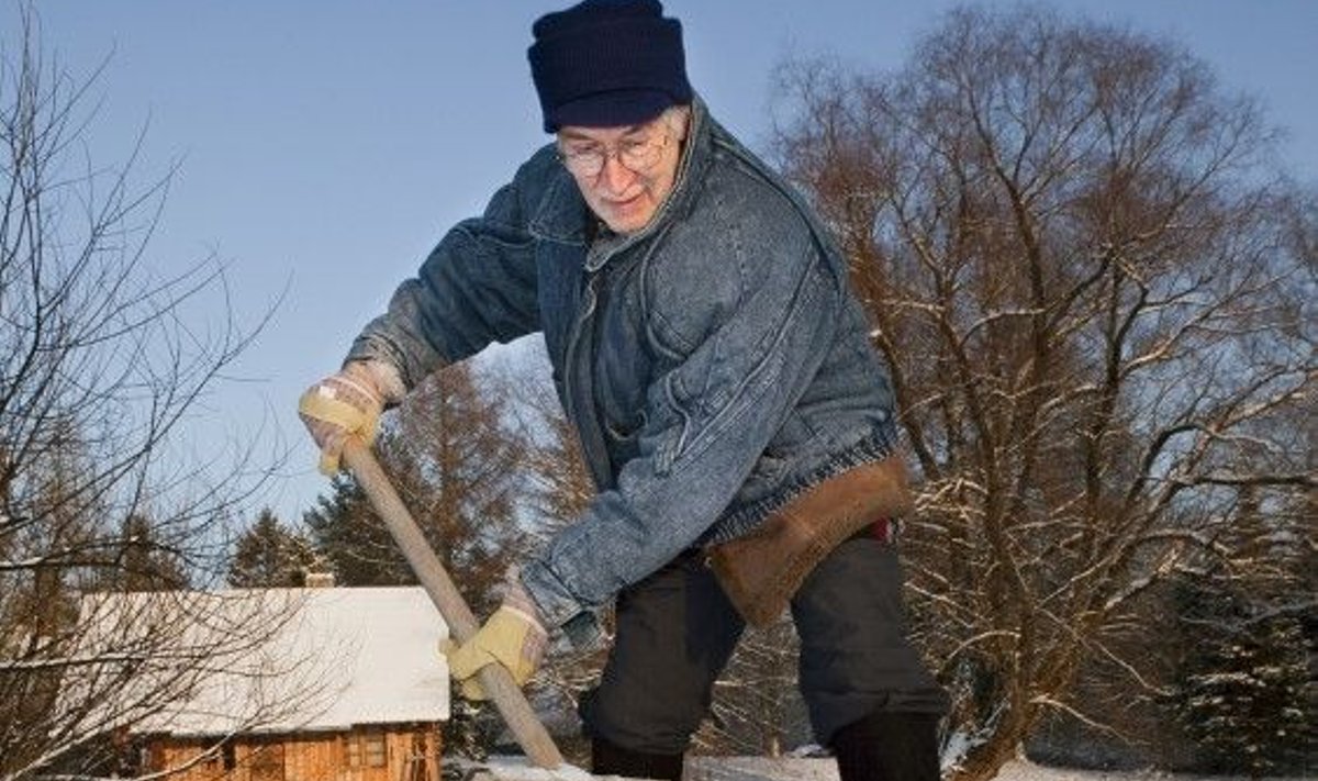 Kui õnnestub enne pimedat  Mutiku talu tiik lumest puhtaks  kühveldada, lubab Jaan Kaplinski  uued uisud jalga panna  ja jääl mõne tiiru teha. 