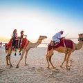 Как мошенники в Дубае обманывают туристов при помощи фальшивых купюр