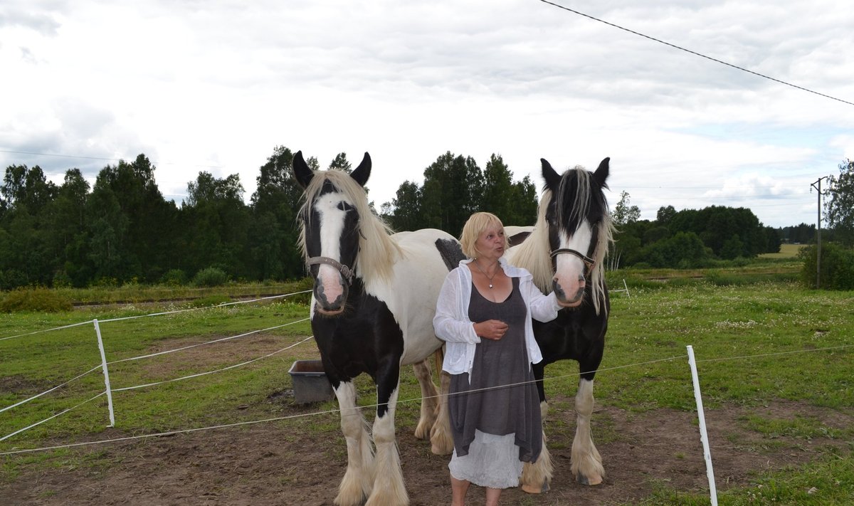Kuusemäe talus näidati külastjatele hobuseid.