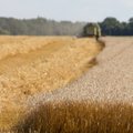 Euroopa Liit saab kasutada kaht toetusvahendit põllumajandustootjate abistamiseks