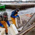 Euroopa kalanduse oma X-tee aitab illegaalse püügi vastu