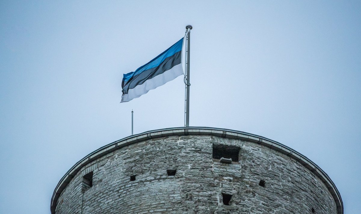 Эстонский флаг на башне длинный Герман