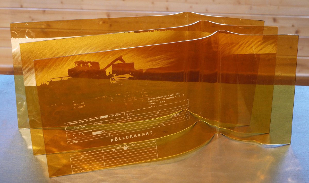 Klaasikunstnik Tiina Sarapu “Kuldne põld” näitusel “Pikk põld”.