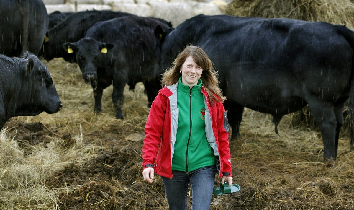 Lihaveisekasvatajate seltsi juht Jane Mättik selgitab, et praegu peaks lihaveisekasvatajaid rohkem toetama, kuna nad on kahe tule vahel. Ühelt poolt on toetused ja hinnad madalad, teisalt tuleb neil seoses keskkonnanõuetega teha suuri investeeringuid.
