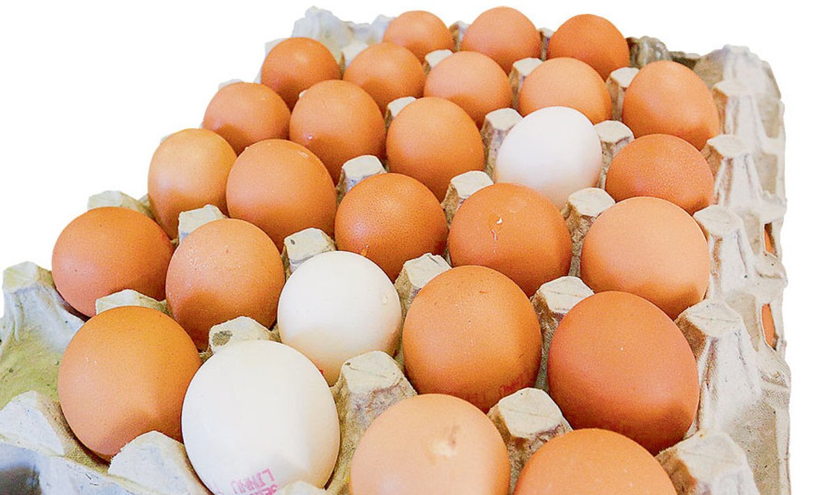 Kuigi Eestis ei toodeta mune sisetarbimist rahuldavas koguses, veetakse neid siit mujalegi.