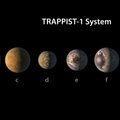 Süsimust kosmosemuru? Itaalia teadlased pakkusid välja viisi, kuidas TRAPPIST-1 planeetidelt taimkatet otsida