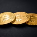 Ettevõtja Tim Draper: Bitcoin võib 2020. aasta jooksul jõuda 250 000 dollarini