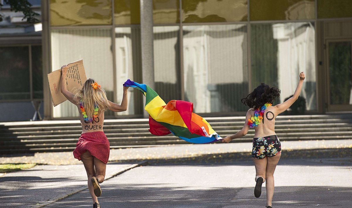 Illustreerival eesmärgil pilt: hetk Stockholm Pride 2013-lt. (Foto: AFP)