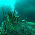 Baikal - 25 miljonit aastat vana järv, kus asub viiendik kogu maailma mageveest