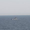 LUGEJA FOTO: Perereisil Läänemerel märgati allveelaeva