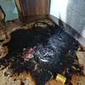 ФОТО | В Табасалу во время работы загорелся робот-пылесос. В доме находилось два человека и три собаки  