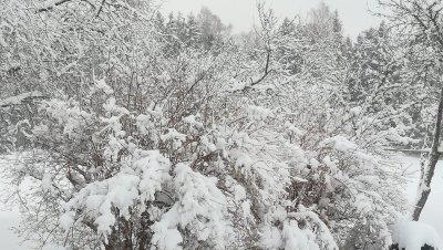 Vastlapäeva hommik Hiiumaal.