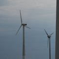Valitsus paneb palju kära tekitanud Tootsi tuulepargi kinnistu uuesti enampakkumisele, selle edasine ajakava sõltub RMK-st