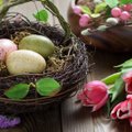 Kümme vanarahva munapüha traditsiooni, mis tagavad sulle hea tervise, õnne ja rikkuse