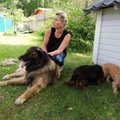 Reksu südamlik lugu | koera ootas ees eutanaasia, sest pere otsustas ühel päeval maalt linna kolida