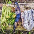 METSA SÖÖMA! Vaata videost, kuidas teha metsas sütel grillitud kala metsakraamist salati ja lisanditega