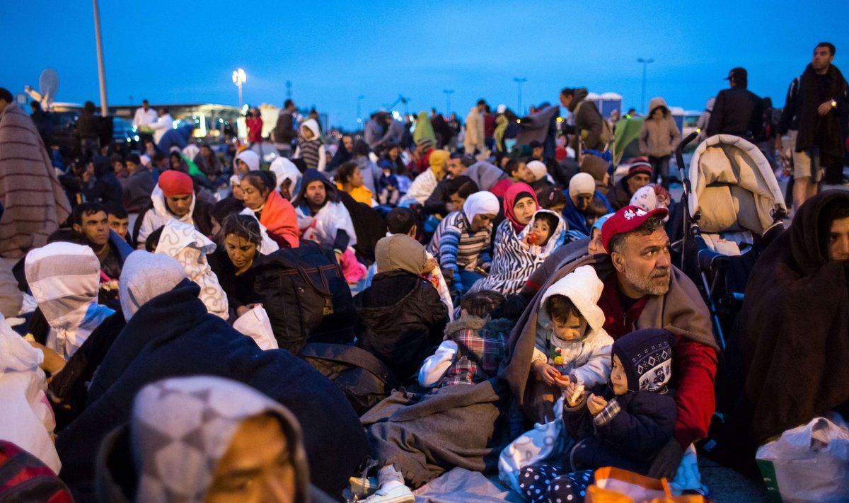 Migratsiooniamet prognoosib, et enne aasta lõppu otsib Soomest turvapaika 15 000 pagulast.