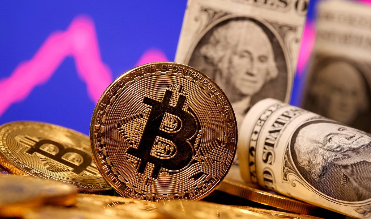 Bitcoini hind on viimase 24 tunni jooksul tõusnud 10,5%.