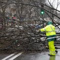 Ida-Eesti päästjad kõrvaldasid teele kukkunud puid