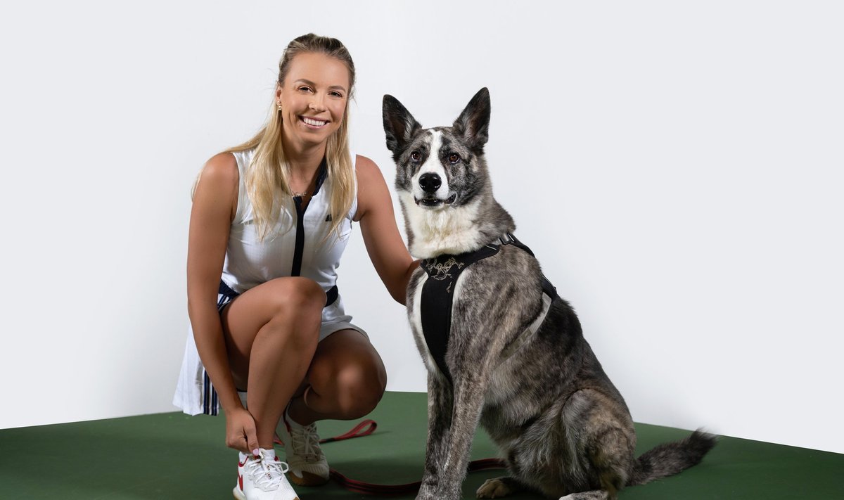 Anett Kontaveit