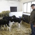 Kolmest suurtööstusest ei piisa? Riigi raha toel tahavad põllumehed ehitada Eestisse veel ühe suure piimatööstuse