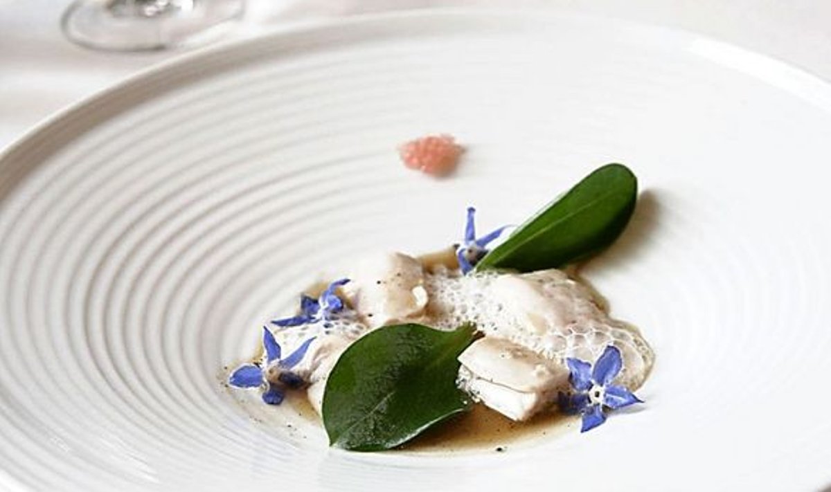 “Makrelli harknääre 2008” oli tegelikult makrellifilee, foie gras’, trühvliõli ja greibi hõrk kooslus, mida kaunistasid Eesti koduaedadestki tuntud kurgirohuõied.