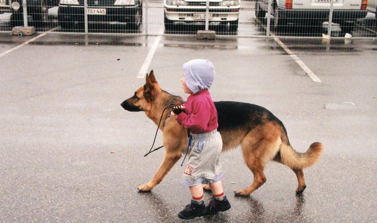 Koer, koerad, 12.06.1998
