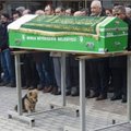 Nähtamatu side: murtud südamega koer tuleb iga päev tagasi oma parima sõbra hauale teda leinama