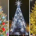 Голосуем! Где самая красивая рождественская елка — в Таллинне, Риге или Вильнюсе?