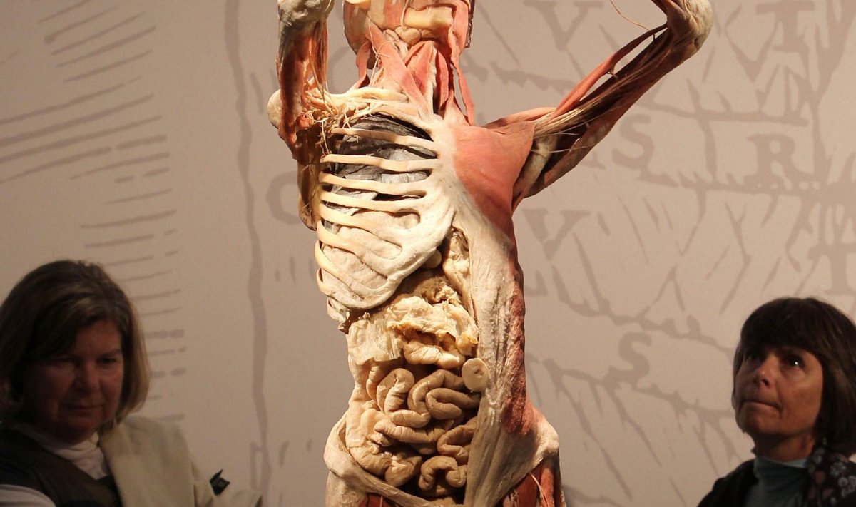 Inimese anatoomia