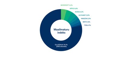 Seitse ettevõtet moodustavad 20% maailma börsifirmade koguväärtusest. Allikas: MSCI.