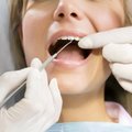 Millised on parimad hambaplommid?