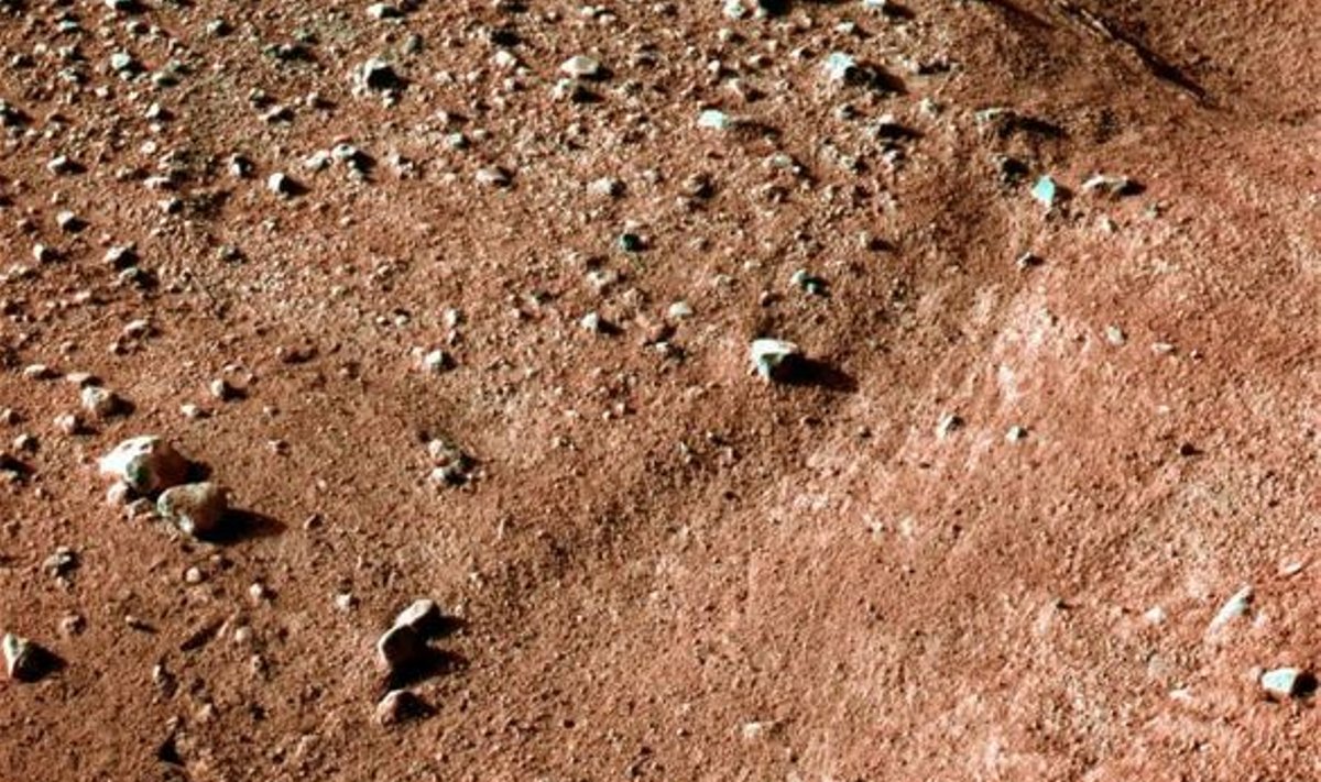 SUUR SAMM INIMKONNALE: Marsilt elu otsiva Phoenix Landeri poolt tehtud värviline foto planeedi pinnasest.