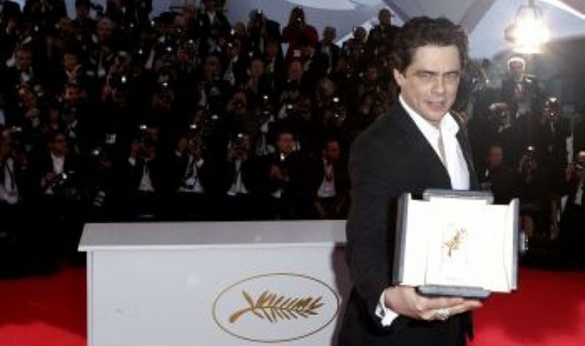 Benicio del Toro rambivalguses.
