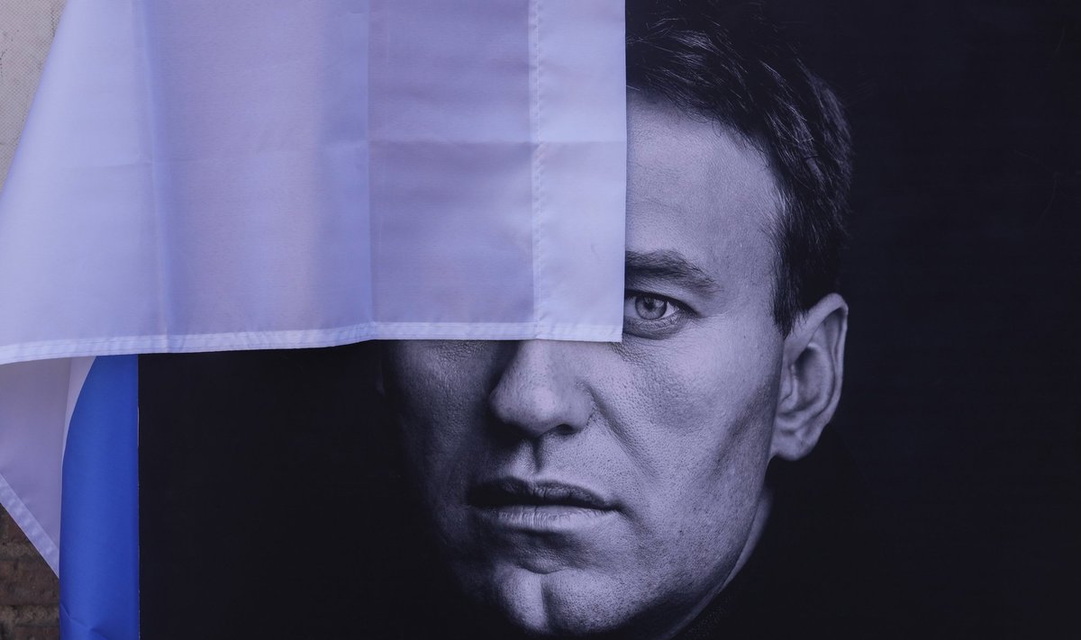 Портрет Алексея Навального