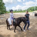 FOTOD | Tartu linnas sai avatud talude päeval näha hobuseid ja küülikud