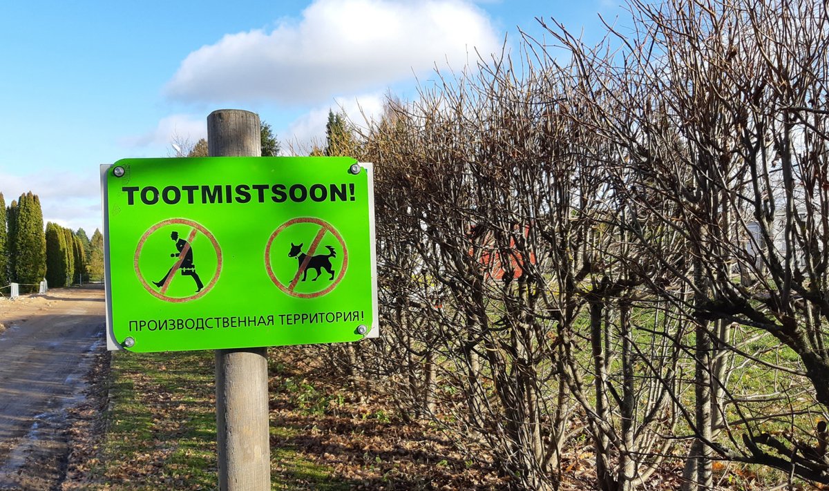 Lageraiesüüdustuse saanud plats pole dendropark, vaid tootmismaa ja isegi ala sissepääsu värava küljes on juba aastakümneid olnud vastav silt.