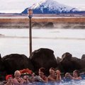 Julged Unistajad käisid Islandil: igal pool, kuhu läksime, oli naistel ette näidata vokk