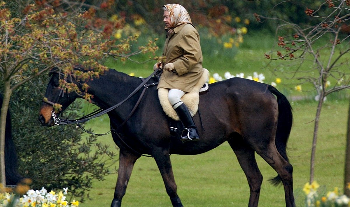 Elizabeth II armastab ratsutada ja jalutada ning kannab sealjuures silmatorkamatuid rõivaid.