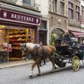 В Брюсселе впервые в Европе появятся туристические электрокареты вместо конных повозок