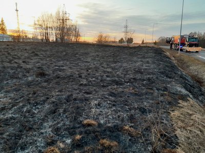 Ландшафтный пожар площадью 1000 квадратный метров в Валгамаа